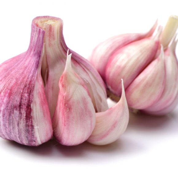 Planting Music Garlic Bulbs