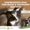goat care ebook course video intstructions