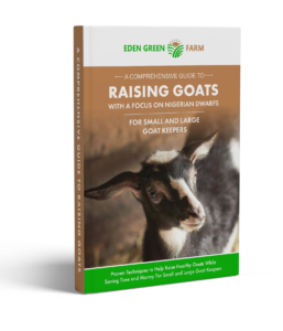 how-to-raise-nigerian-goats-for-milk-ebook