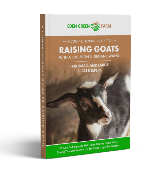 how-to-raise-nigerian-goats-for-milk-ebook