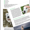 LGD-raising-ebook-sheep-chickens-dos-don'ts-guide