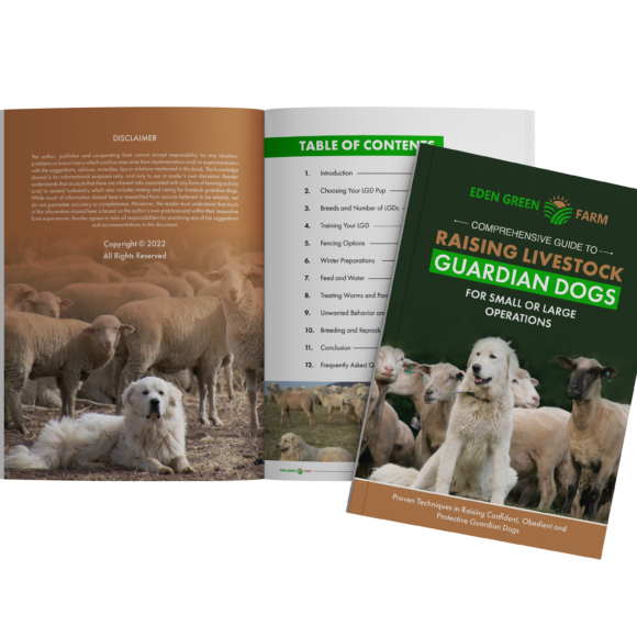 Raising Livestock Guardian Dogs Knowledge Base and Support Eden Green